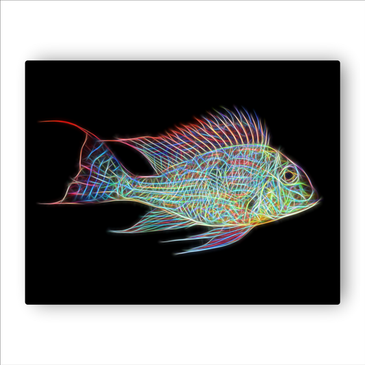 Sven's Eartheater Cichlid Aluminium Metal Wall Plaque Geophagus sveni