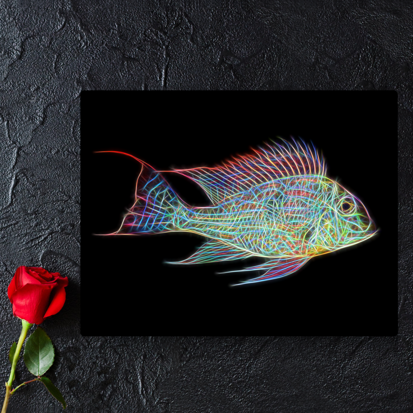 Sven's Eartheater Cichlid Aluminium Metal Wall Plaque Geophagus sveni