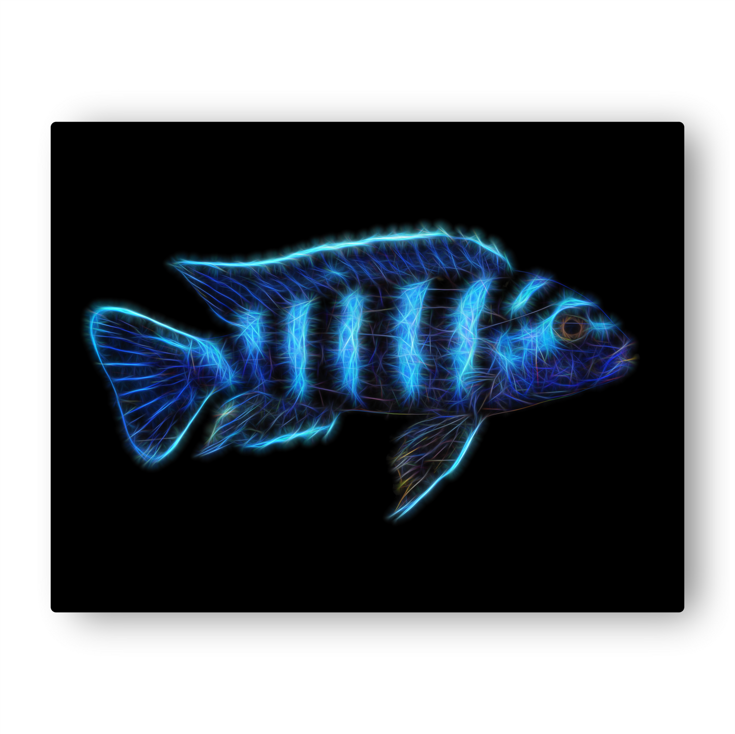 Demasoni Cichlid Metal Wall Plaque Pseudotropheus demasoni