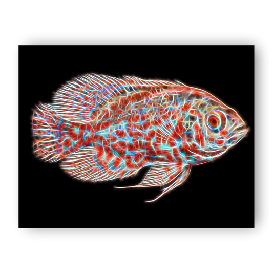 Oscar Cichlid Aluminium Metal Wall Plaque with Stunning Fractal Art Design.