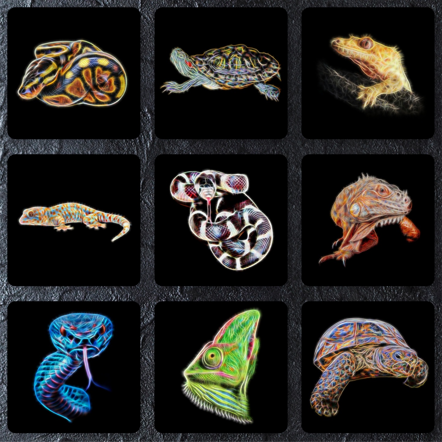 Reptile Coaster