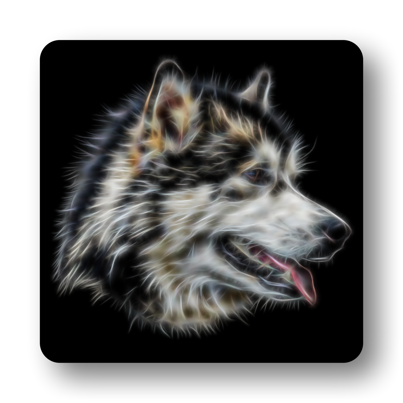 Alaskan Malamute Coaster