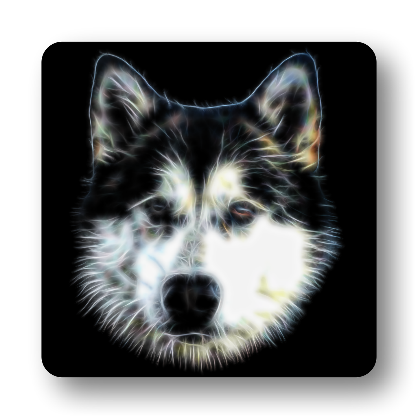Alaskan Malamute #2 Coaster Fractal Art Design