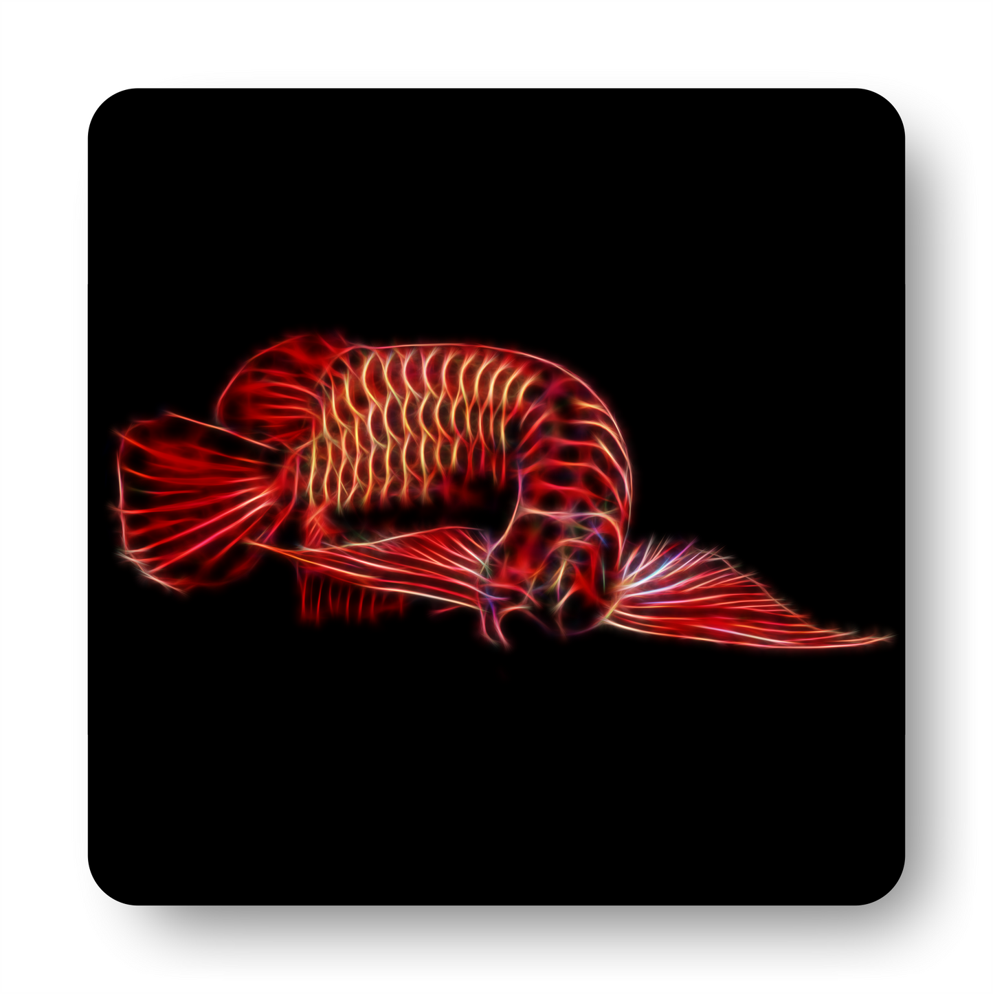 Red Arowana Coaster