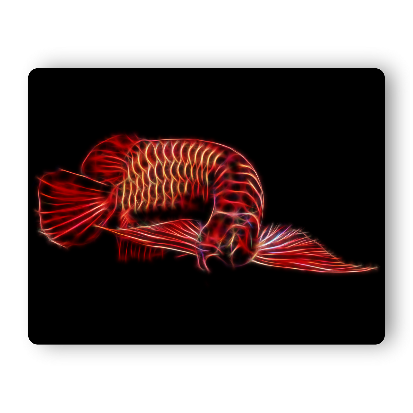 Red Arowana Metal Wall Plaque