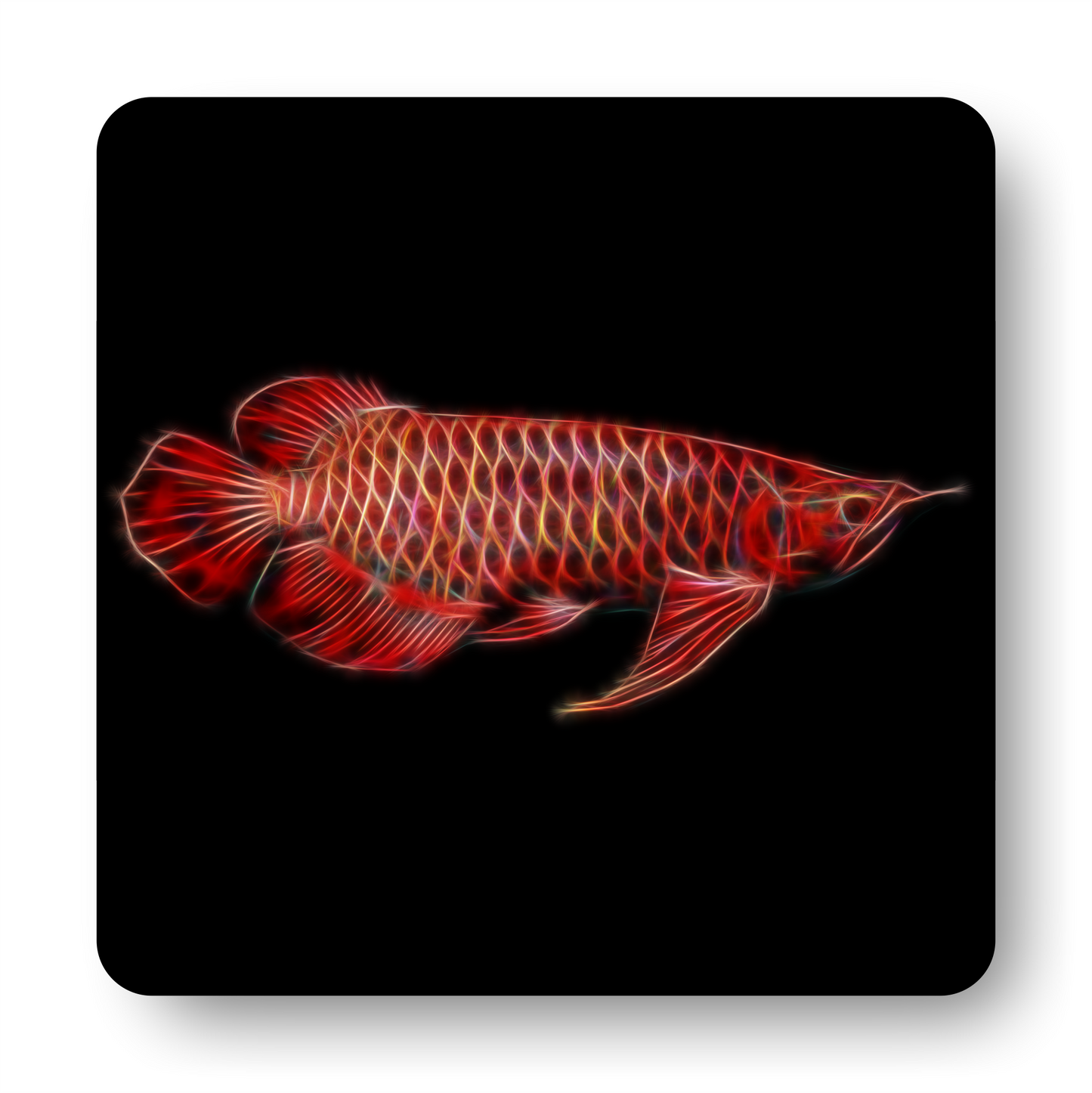 Red Arowana Coaster