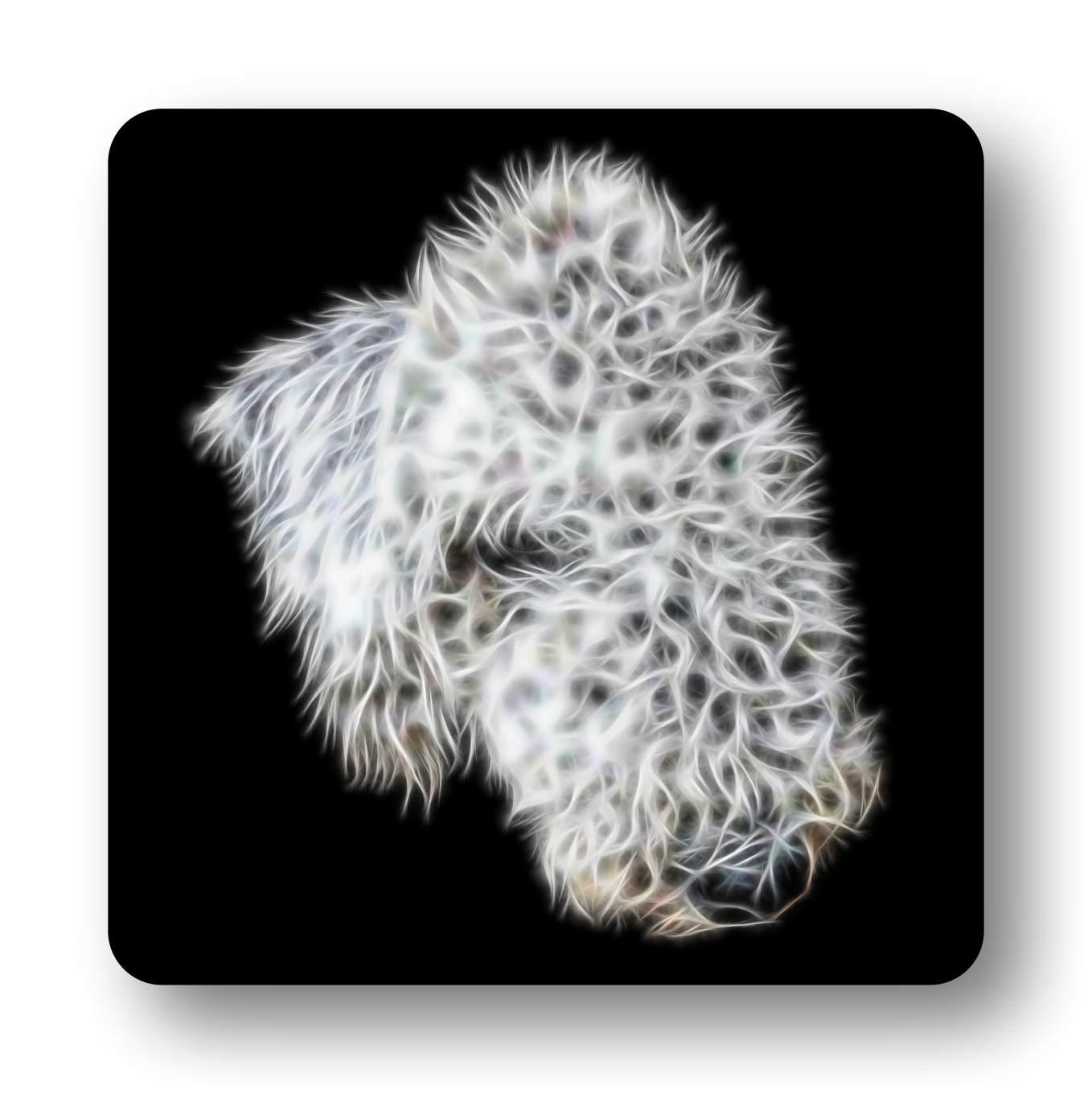 Bedlington Terrier Coaster