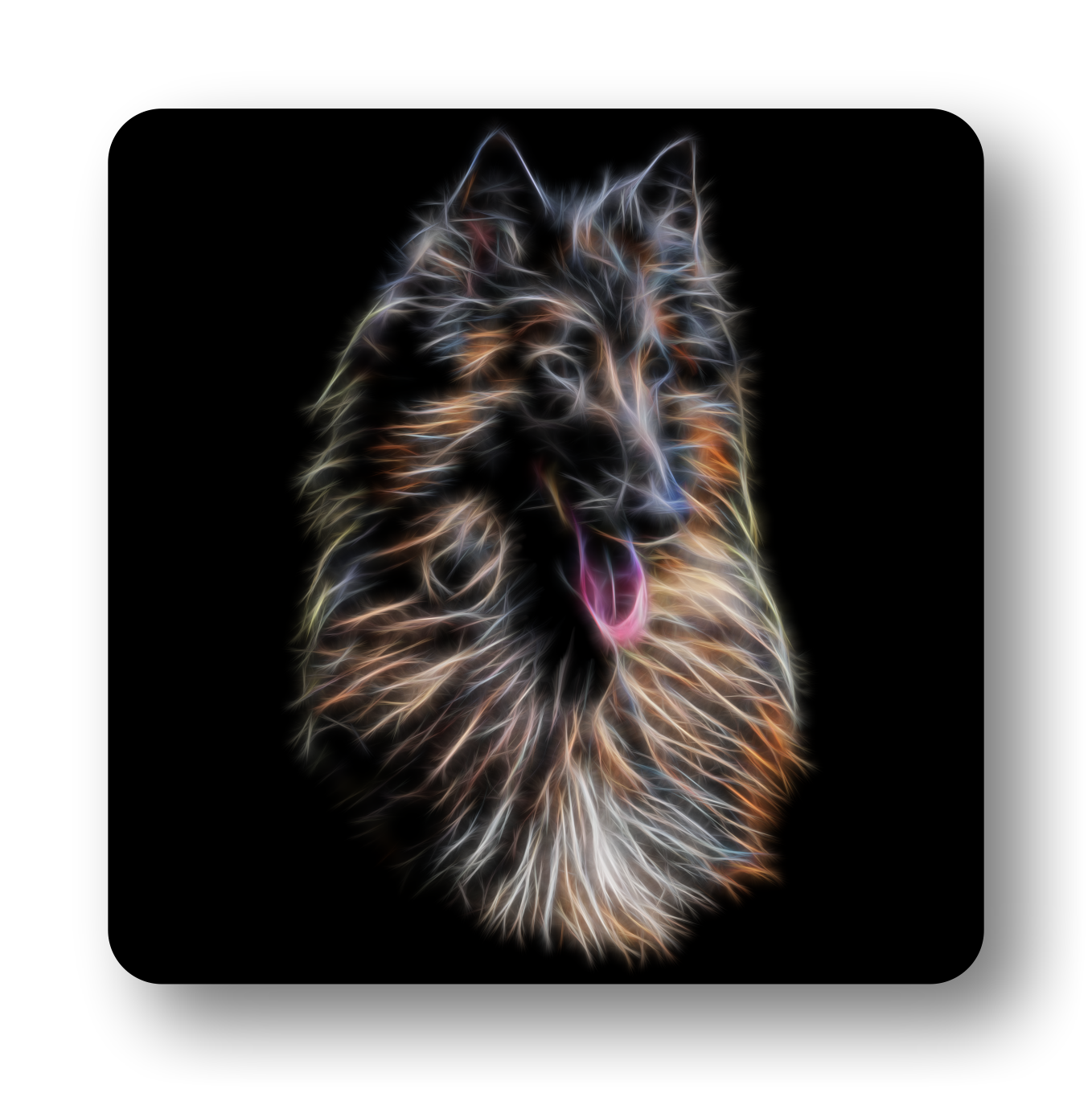 Belgian Tervuren Coaster