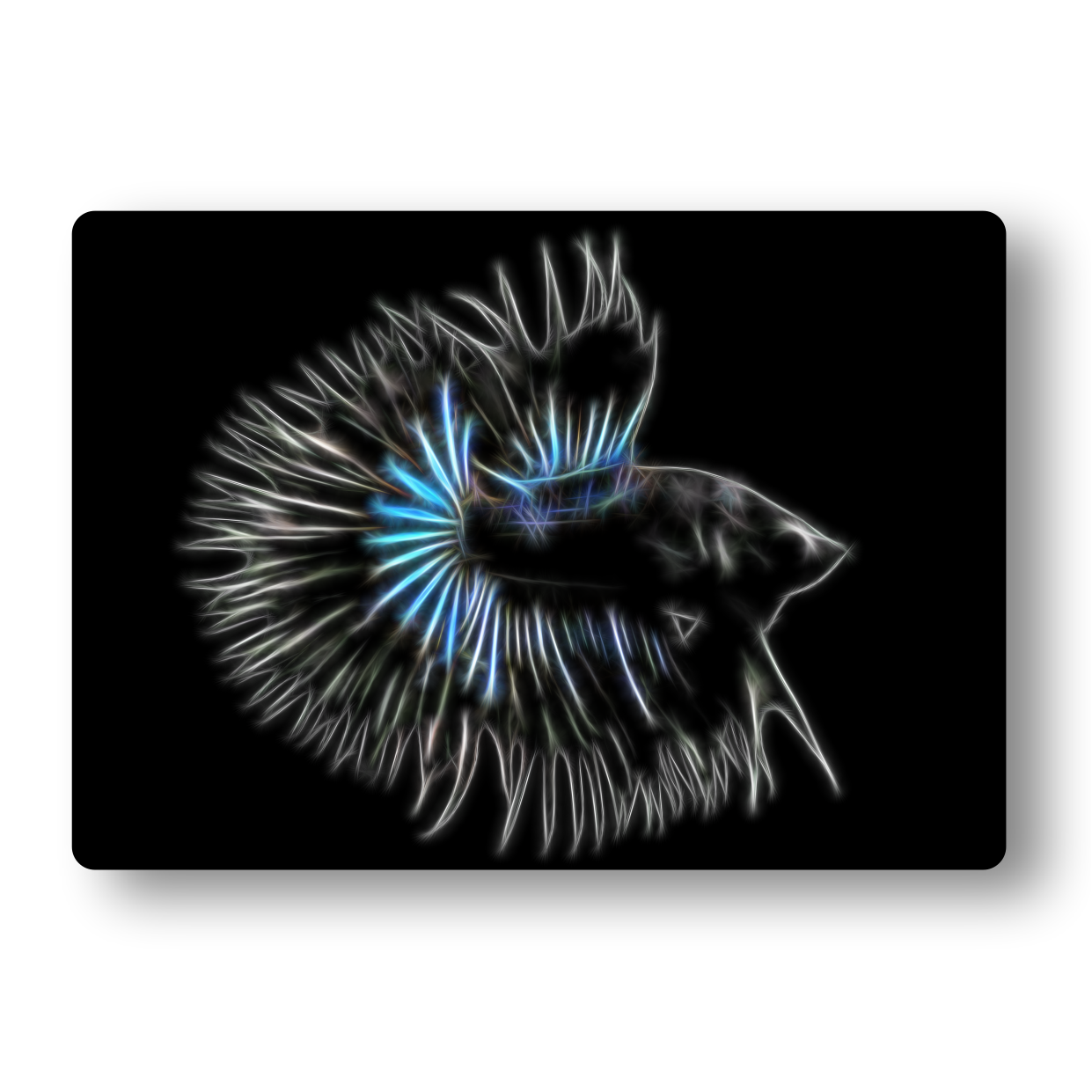 Black Half Sun Betta Fractal Art Metal Wall Plaque