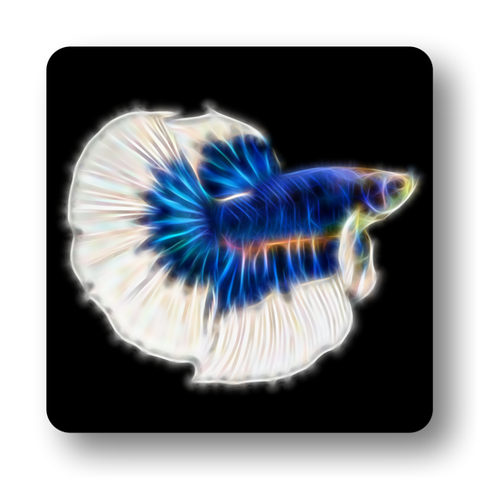 Betta Fish Coasters - Various Designs