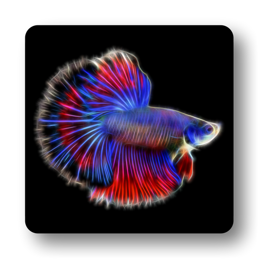 Betta Fish Coasters - Various Designs