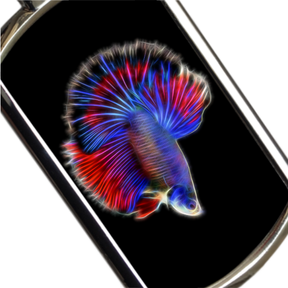 Betta Fish Keyrings - Various Designs