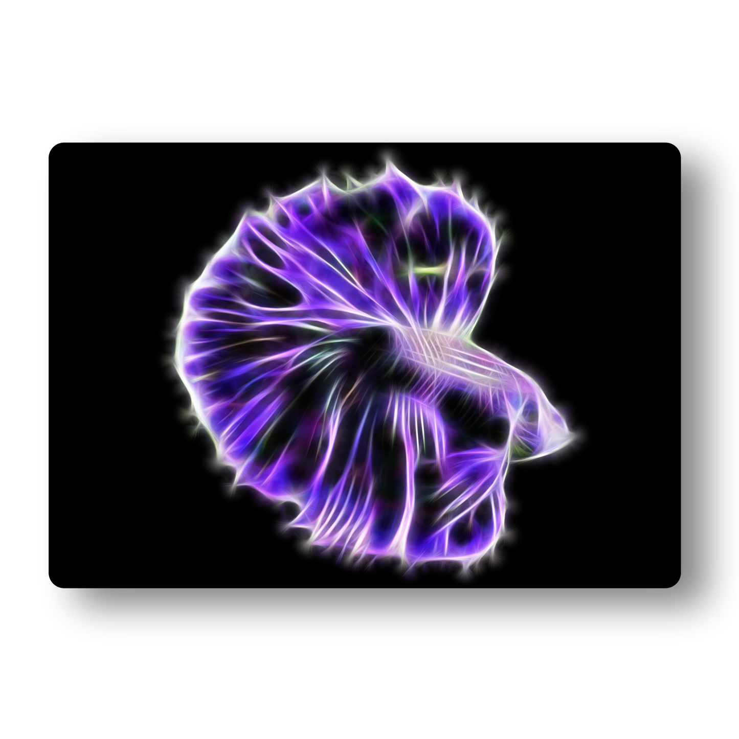 Purple Betta Fractal Art