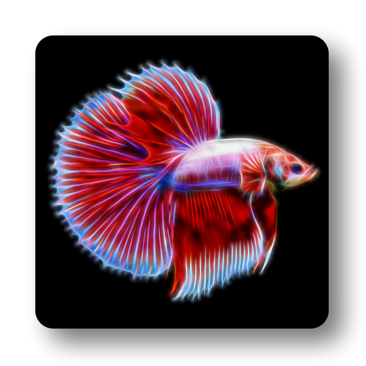 Betta Fish Coasters - Various Designs
