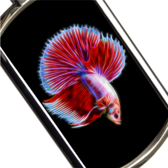 Betta Fish Keyrings - Various Designs