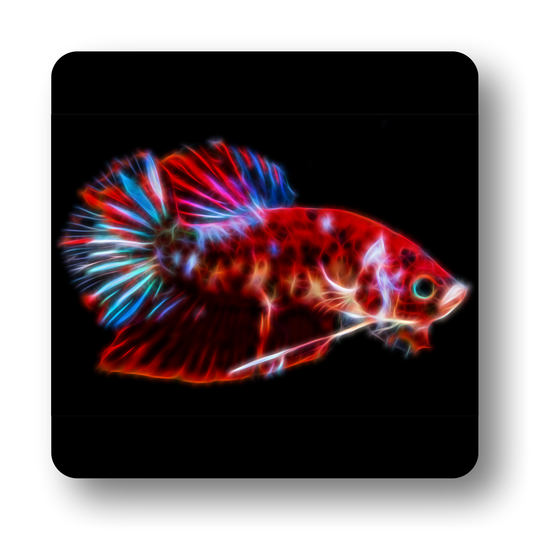 Betta Fish Coasters - Various Designs