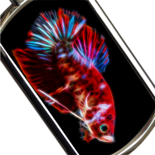 Betta Fish Keyrings - Various Designs