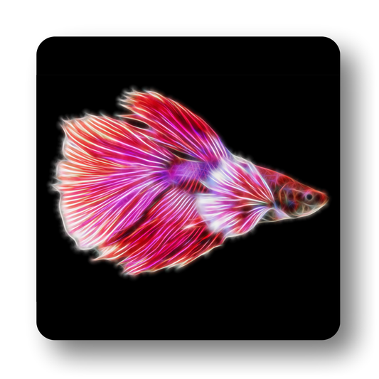 Betta Fish Coasters - Various Designs