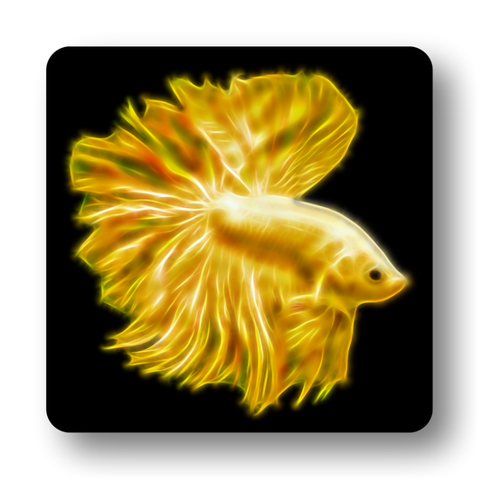 Betta Fish Coasters - Various Designs
