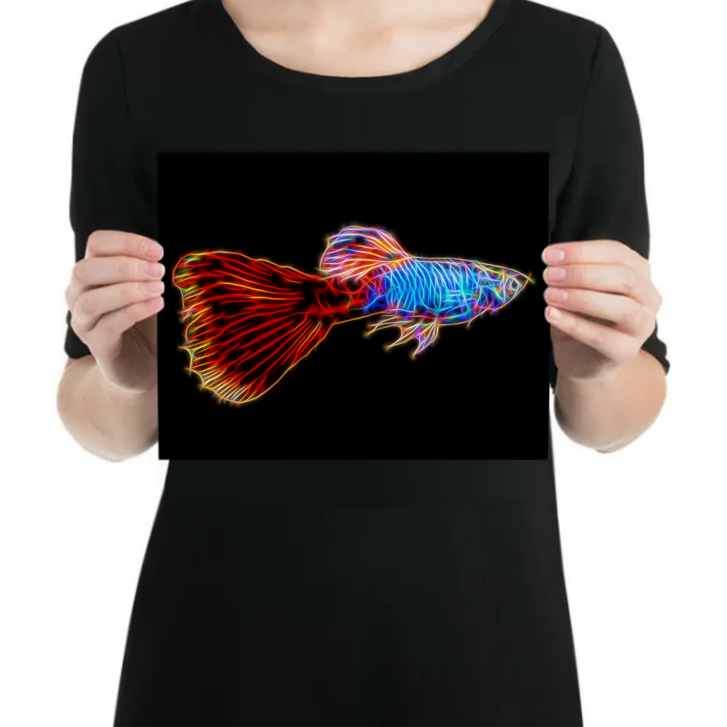 Red Tail Guppy Aluminium Metal Wall Plaque