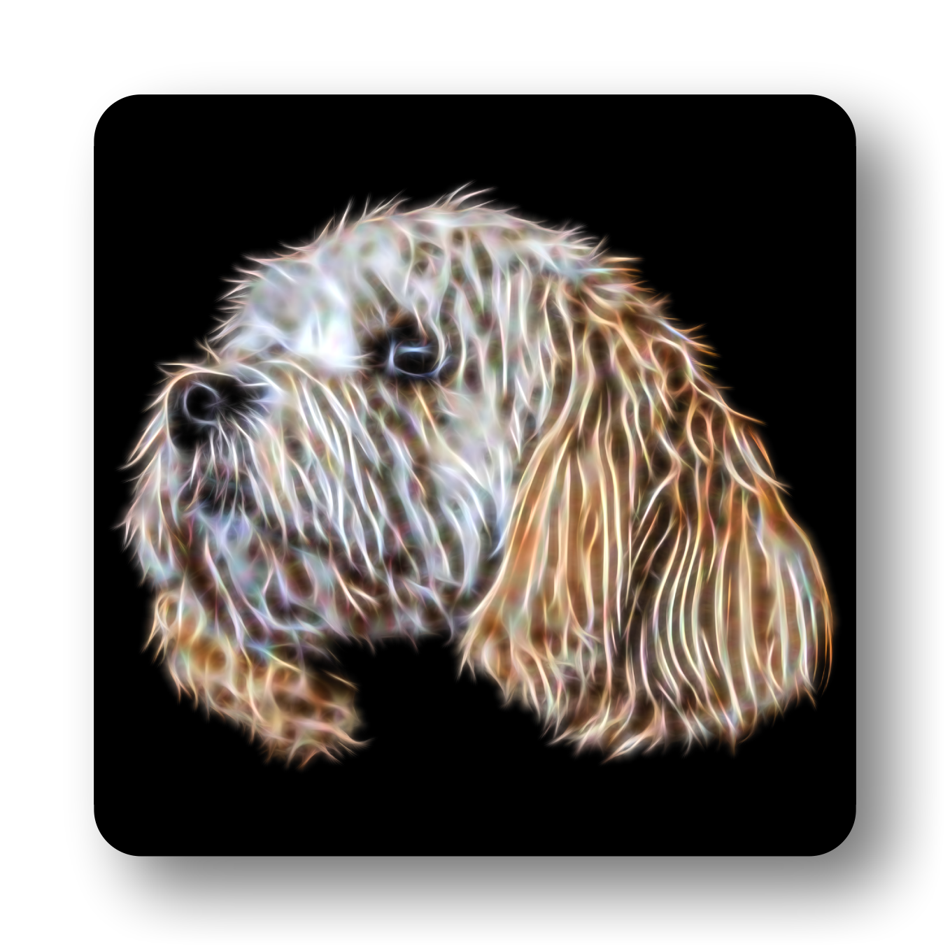 Cavachon Coaster