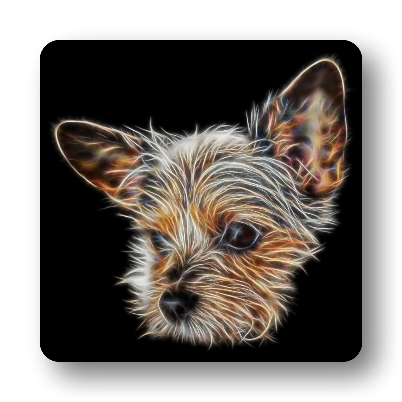 Chorkie Coaster