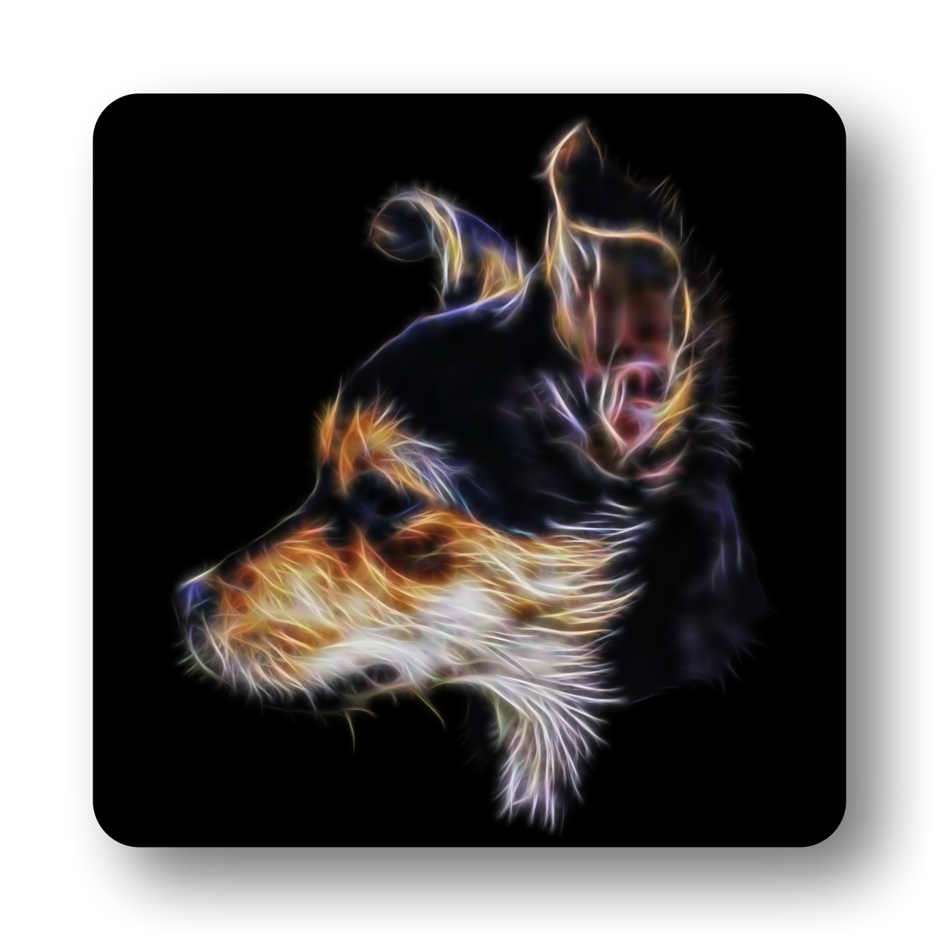 Chorkie Coaster