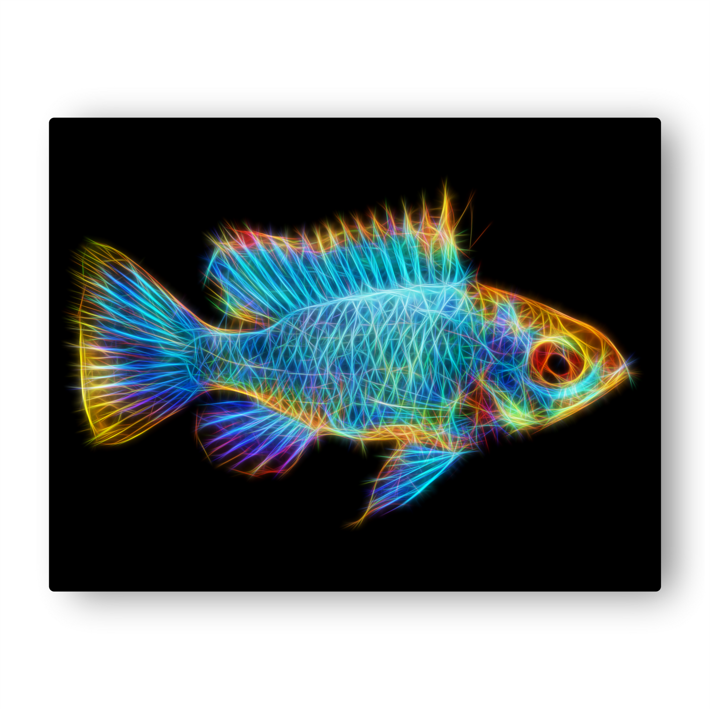 Cichlid Aluminium Metal Wall Plaque