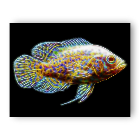 Oscar Cichlid Aluminium Metal Wall Plaque with Stunning Fractal Art Design.