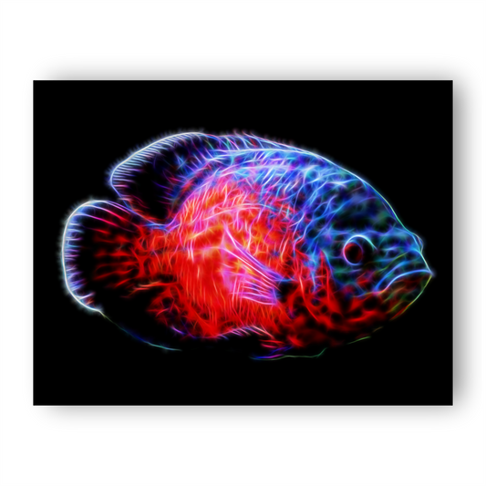 Oscar Cichlid Aluminium Metal Wall Plaque with Stunning Fractal Art Design.