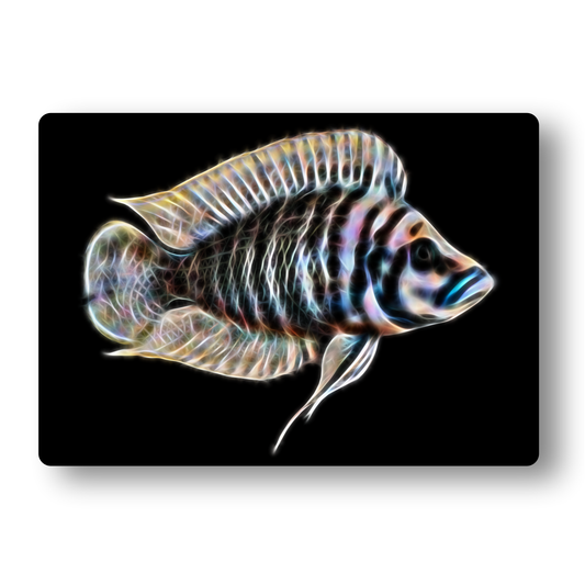 Cichlid (Calvus) Fractal Art Metal Wall Plaque