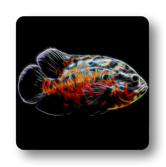 Cichlid Fish Coasters - Various Designs