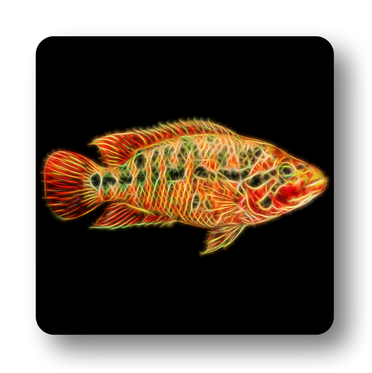 Cichlid Fish Coasters - Various Designs