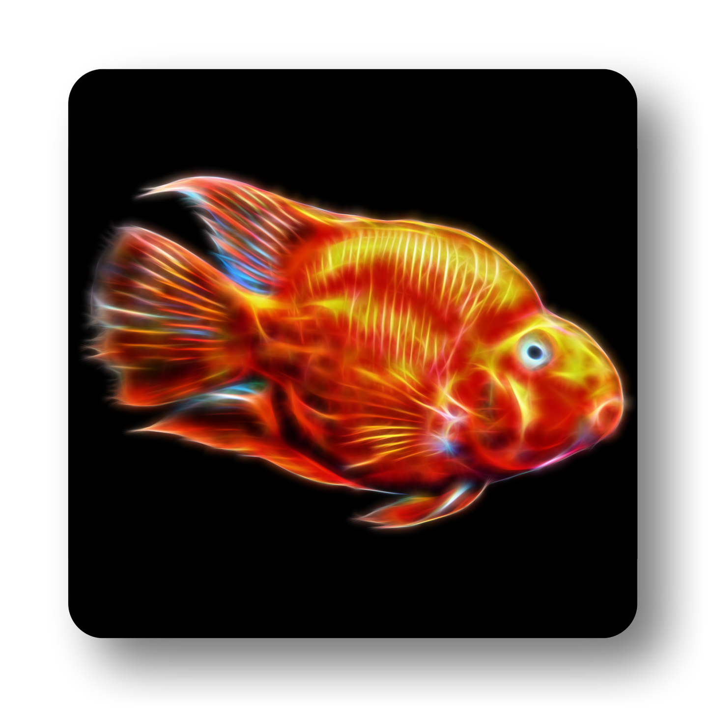 Cichlid Fish Coasters - Various Designs