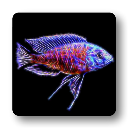 Cichlid Fish Coasters - Various Designs