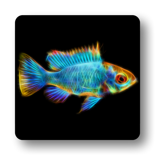 Cichlid Fish Coasters - Various Designs
