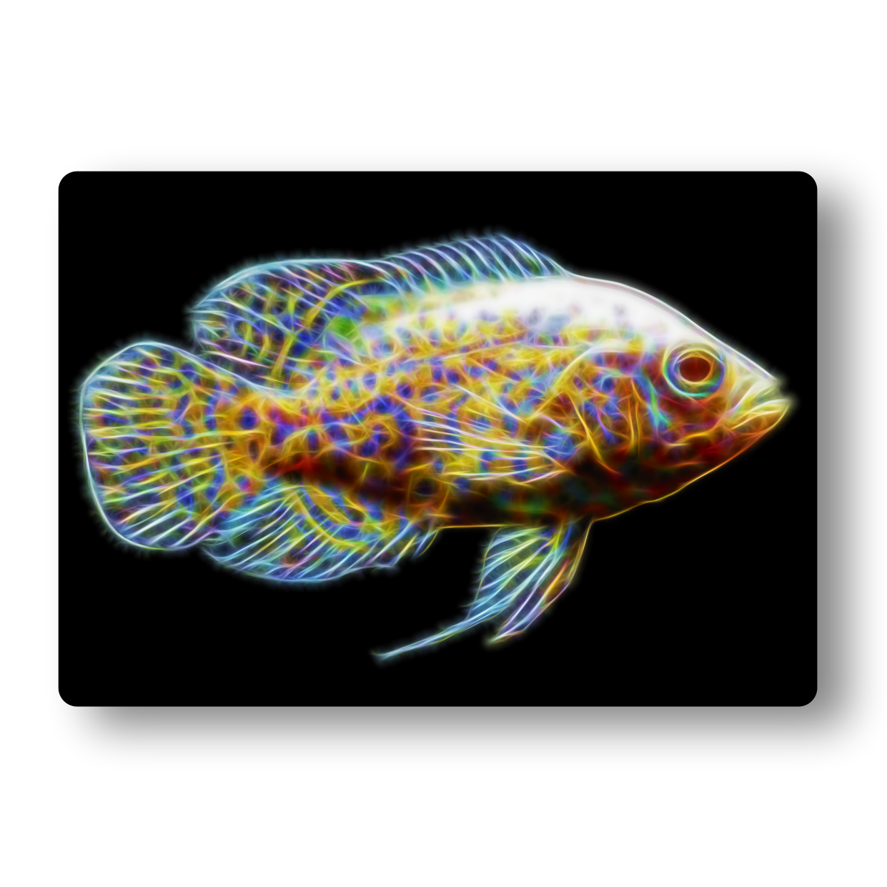 Cichlid (Lemon Tiger Oscar) Fractal Art Metal Wall Plaque