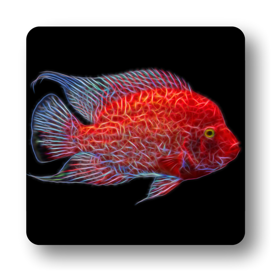 Cichlid Fish Coasters - Various Designs