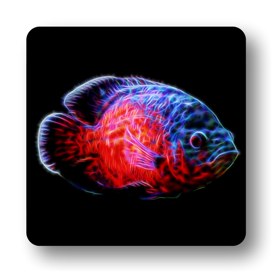 Cichlid Fish Coasters - Various Designs