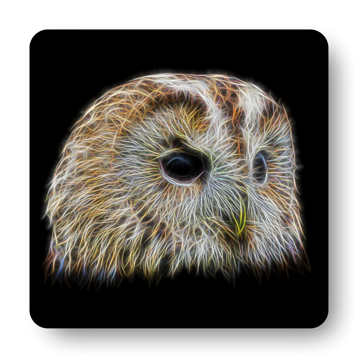 Owl Coaster