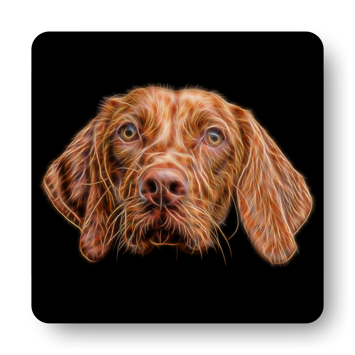 Hungarian Vizsla Coaster