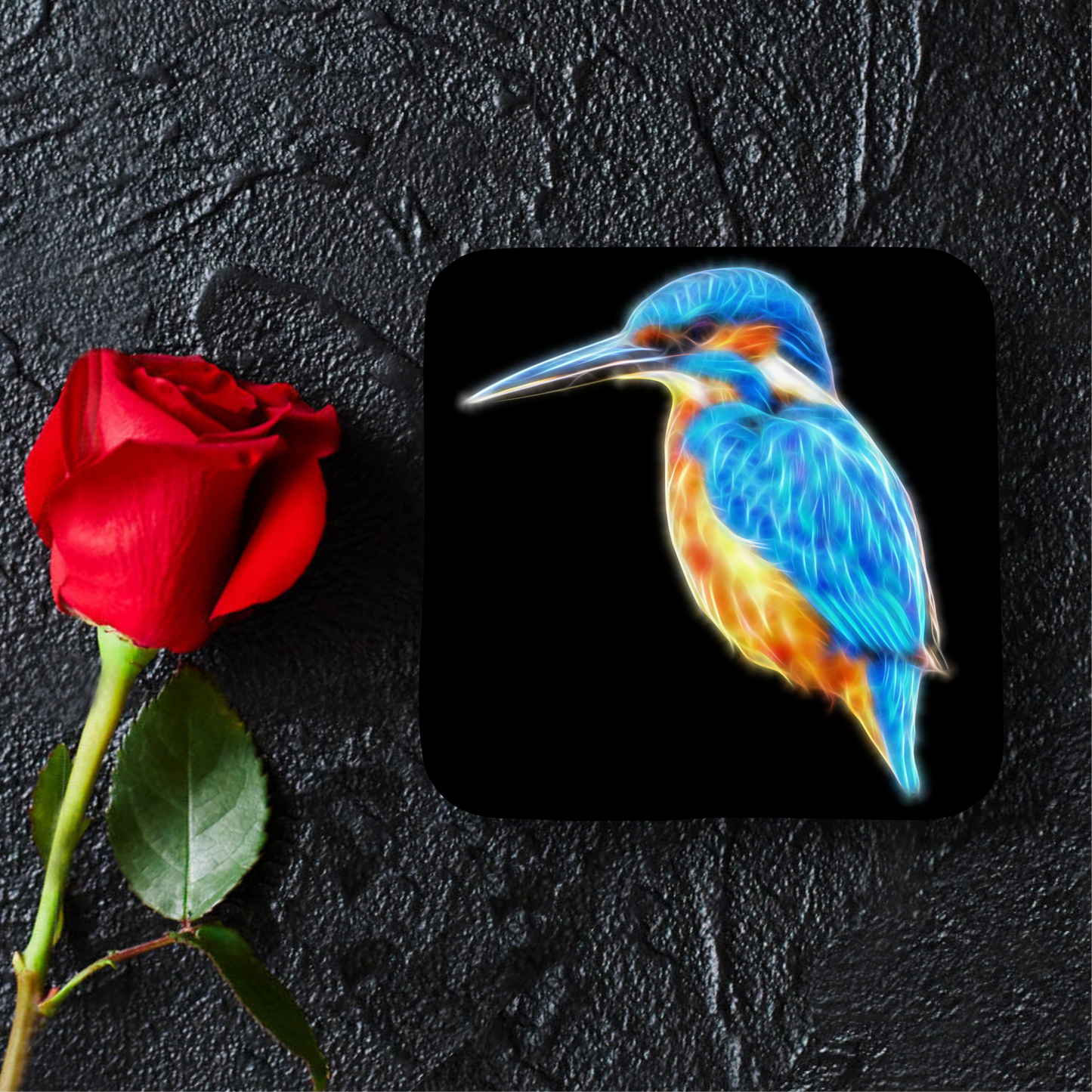 Kingfisher Coaster