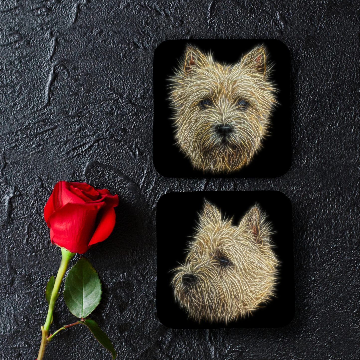 Cream Cairn Terrier Coasters, Set of 2, with Stunning Fractal Art Design.