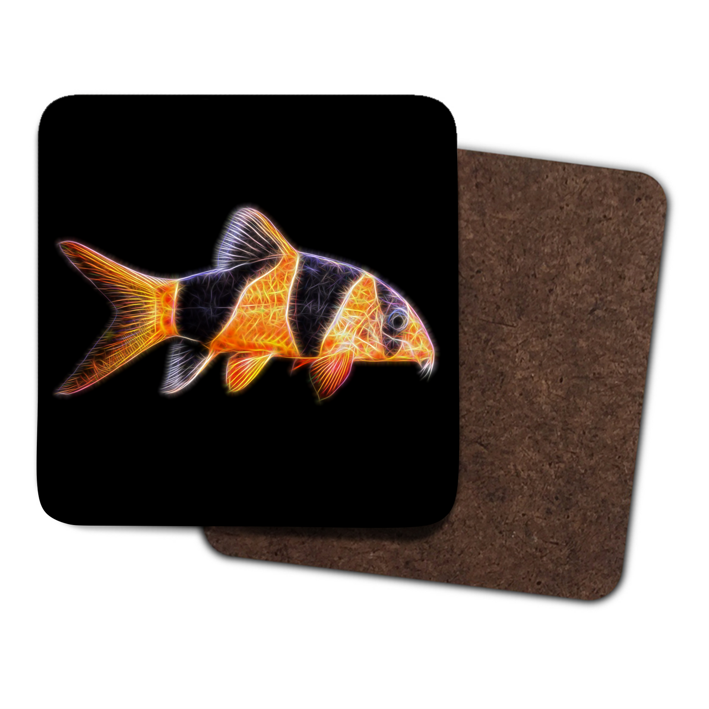 Clown Loach Coaster