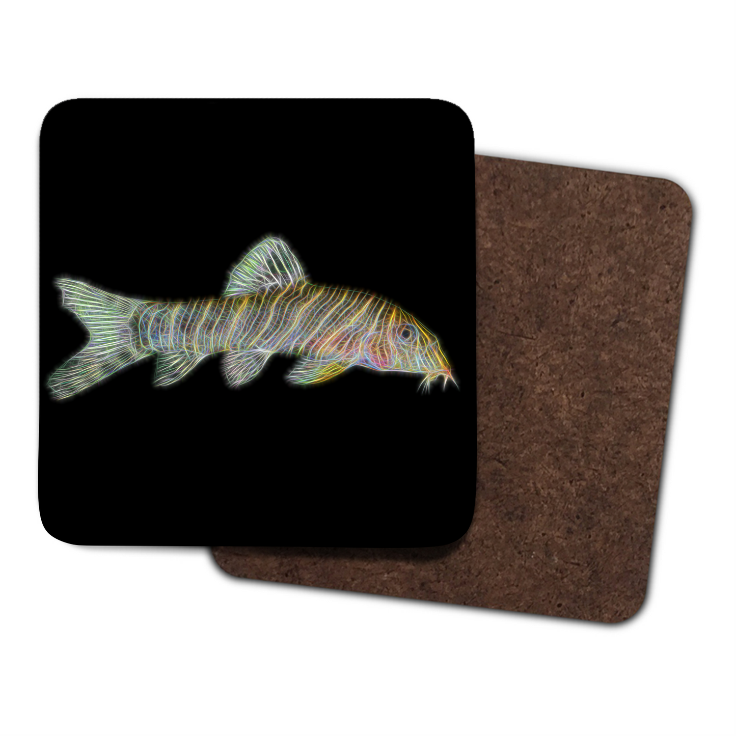 Zebra Loach Coaster