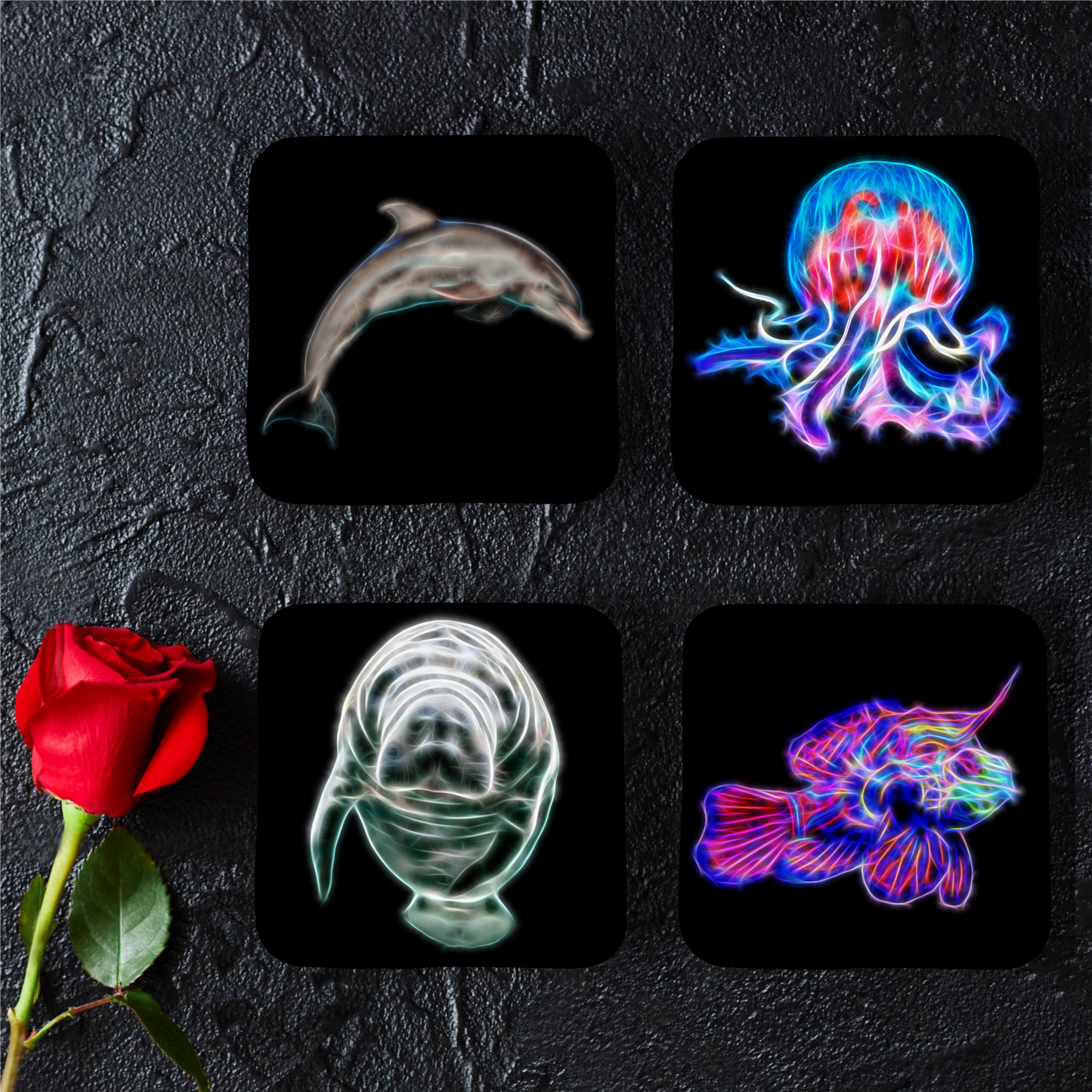 Marine Life Coasters - Various Designs