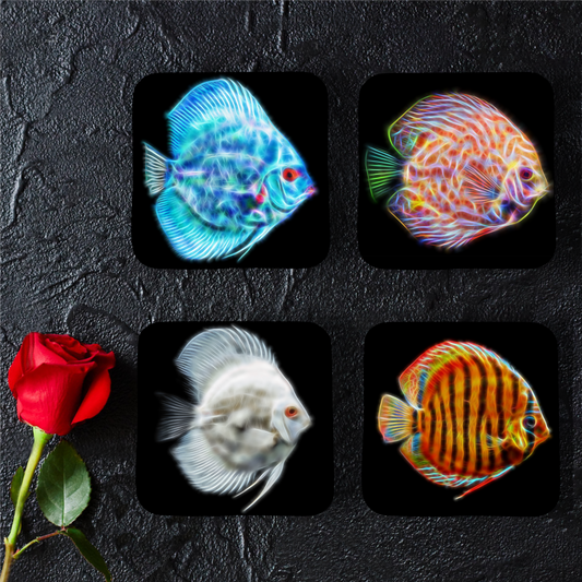 Discus Fish Coasters - Various Designs