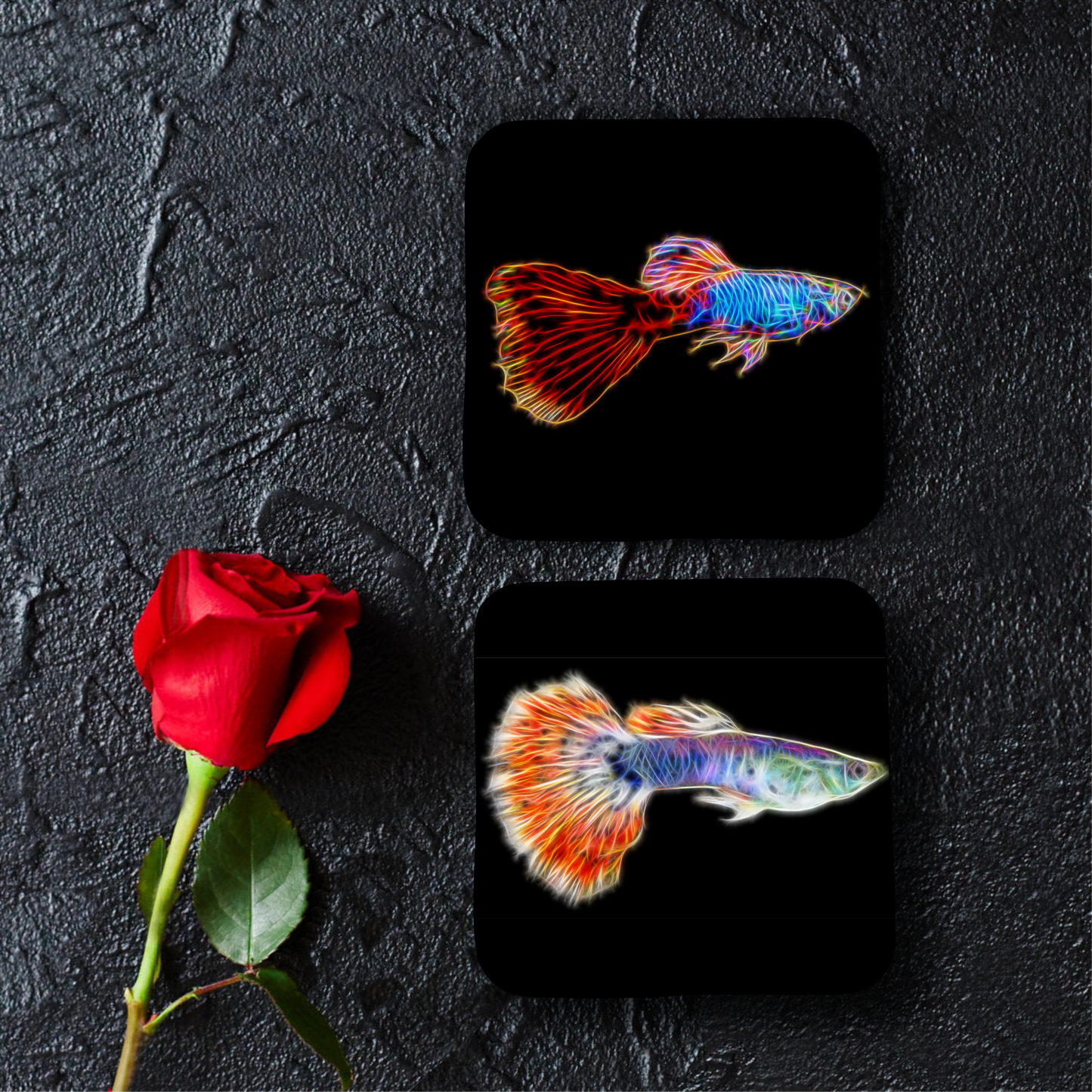 Guppy Fish Coasters - Various Designs