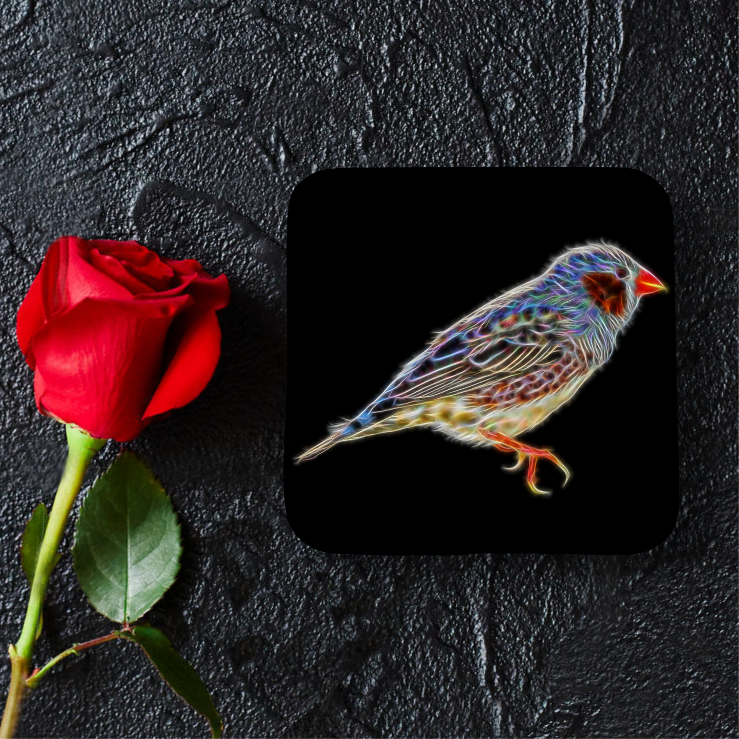 Zebra Finch Coaster