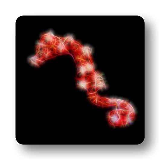 Seahorse Coasters - Various Designs